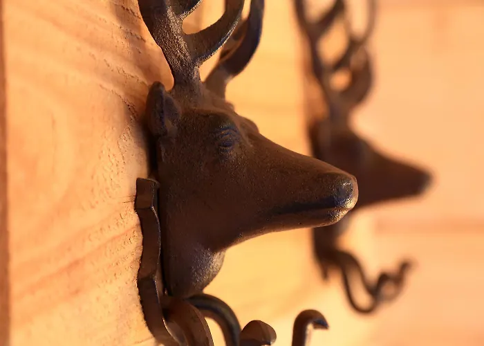 Hahnenklee Holiday home Goslar